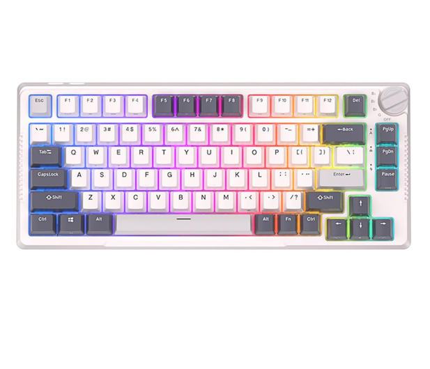 Royal Kludge RKH81 RGB Sky (Cyan switch) - Biała RKH81 skycyan switch - 1198926 - zdjęcie